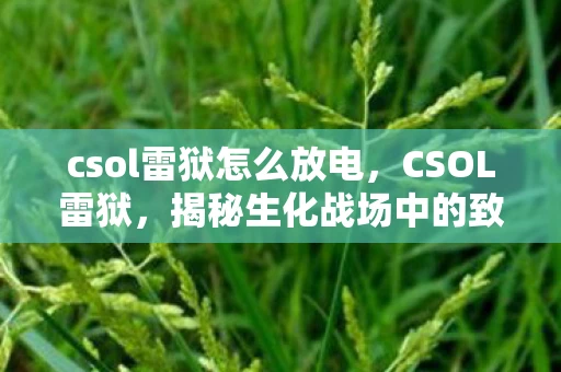 csol雷狱怎么放电，CSOL雷狱，揭秘生化战场中的致命威胁