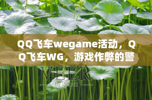 QQ飞车wegame活动，QQ飞车WG，游戏作弊的警示与反思
