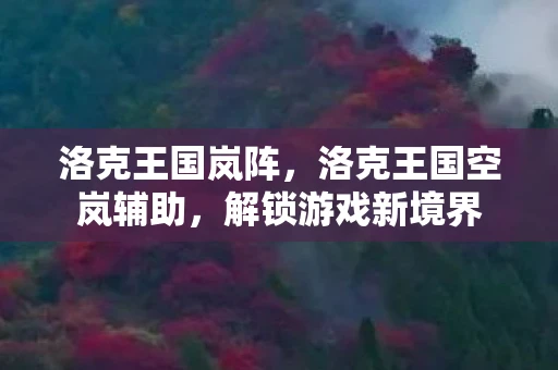 洛克王国岚阵，洛克王国空岚辅助，解锁游戏新境界