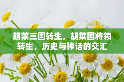 胡莱三国转生，胡莱国将领转生，历史与神话的交汇