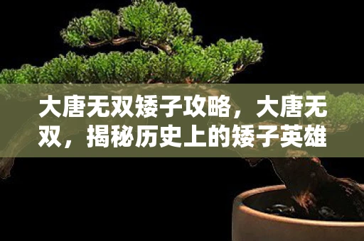 大唐无双矮子攻略，大唐无双，揭秘历史上的矮子英雄