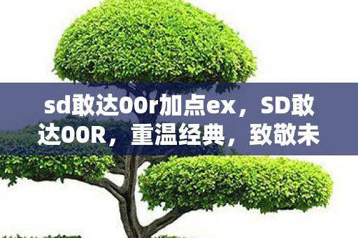 sd敢达00r加点ex，SD敢达00R，重温经典，致敬未来