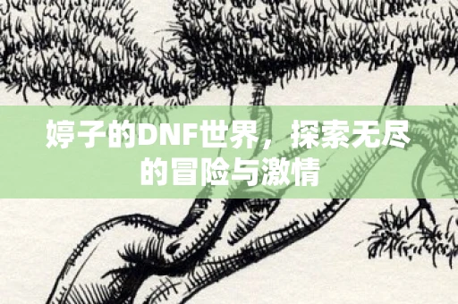 婷子的DNF世界，探索无尽的冒险与激情