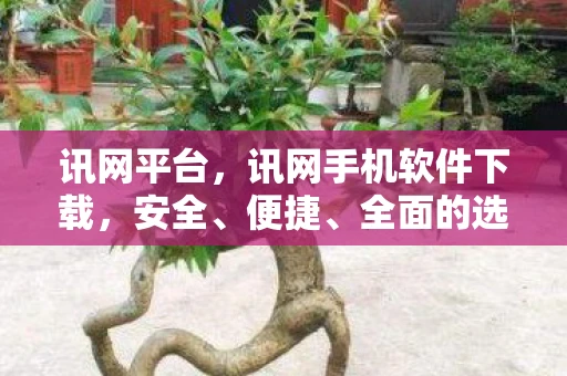 讯网平台，讯网手机软件下载，安全、便捷、全面的选择