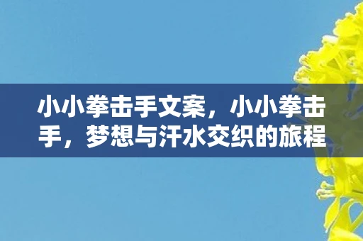 小小拳击手文案，小小拳击手，梦想与汗水交织的旅程