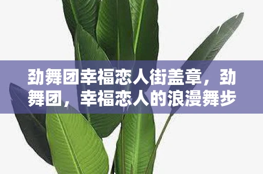 劲舞团幸福恋人街盖章，劲舞团，幸福恋人的浪漫舞步