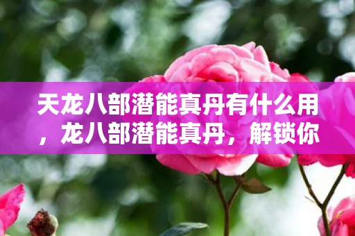 天龙八部潜能真丹有什么用，龙八部潜能真丹，解锁你的内在力量