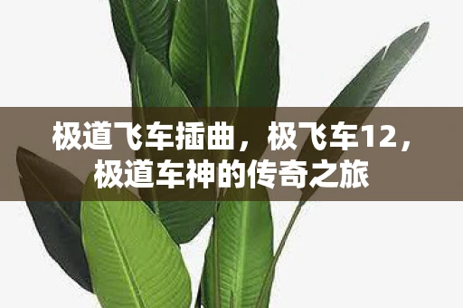 极道飞车插曲，极飞车12，极道车神的传奇之旅