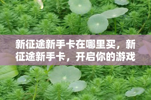 新征途新手卡在哪里买，新征途新手卡，开启你的游戏新篇章