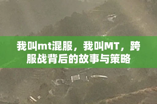 我叫mt混服，我叫MT，跨服战背后的故事与策略