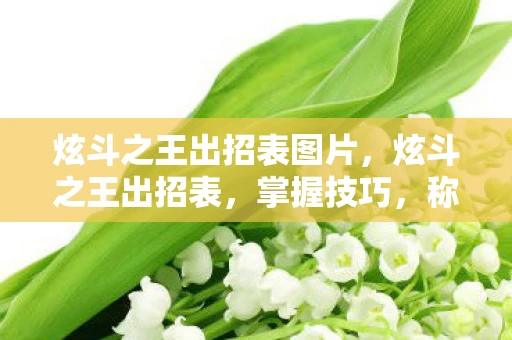 炫斗之王出招表图片，炫斗之王出招表，掌握技巧，称霸竞技场