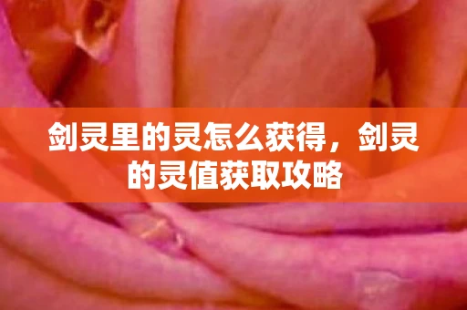 剑灵里的灵怎么获得，剑灵的灵值获取攻略