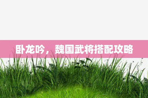 魏国武将搭配攻略图片