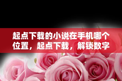 起点下载的小说在手机哪个位置，起点下载，解锁数字阅读的无限可能
