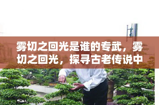 雾切之回光是谁的专武，雾切之回光，探寻古老传说中的神秘光芒