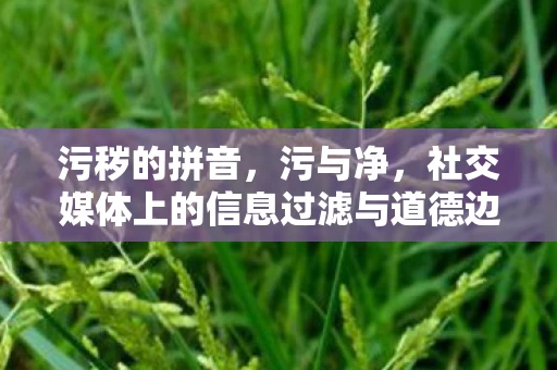 污秽的拼音，污与净，社交媒体上的信息过滤与道德边界