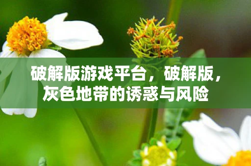 破解版游戏平台，破解版，灰色地带的诱惑与风险