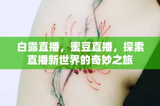 白露直播，蜜豆直播，探索直播新世界的奇妙之旅