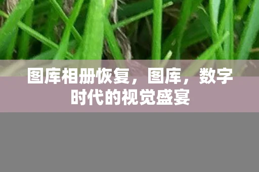 图库相册恢复，图库，数字时代的视觉盛宴