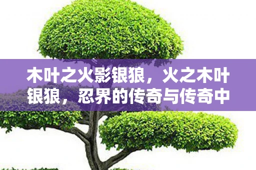 木叶之火影银狼，火之木叶银狼，忍界的传奇与传奇中的传奇