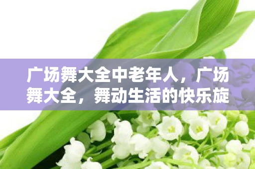 广场舞大全中老年人，广场舞大全，舞动生活的快乐旋律