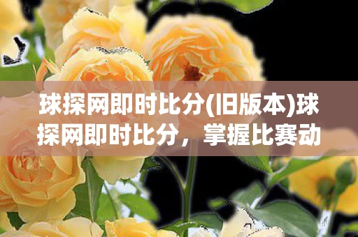 球探网即时比分(旧版本)球探网即时比分，掌握比赛动态，洞悉赛事趋势