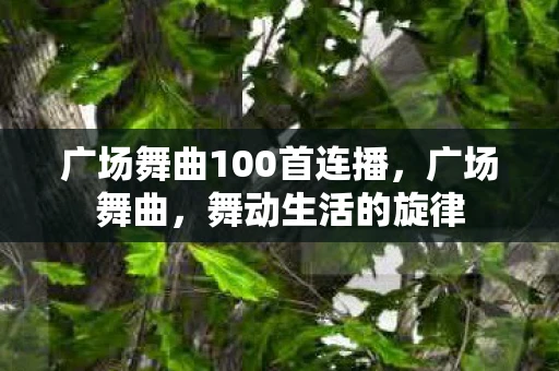 广场舞曲100首连播，广场舞曲，舞动生活的旋律