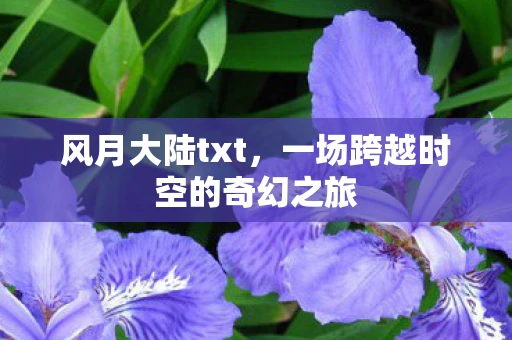 风月大陆txt，一场跨越时空的奇幻之旅