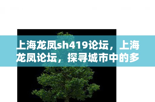 上海龙凤sh419论坛，上海龙凤论坛，探寻城市中的多元文化与社交新空间