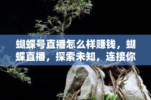 蝴蝶号直播怎么样赚钱，蝴蝶直播，探索未知，连接你我