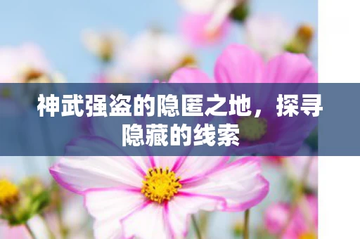 神武强盗的隐匿之地图片