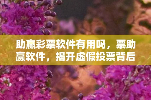助赢彩票软件有用吗，票助赢软件，揭开虚假投票背后的真相