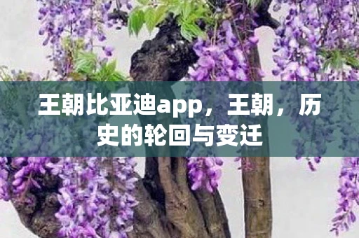 王朝比亚迪app，王朝，历史的轮回与变迁