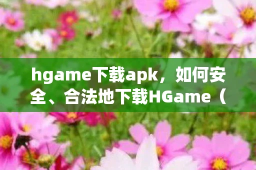 hgame下载apk，如何安全、合法地下载HGame（成人游戏）