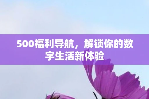 500福利导航，解锁你的数字生活新体验