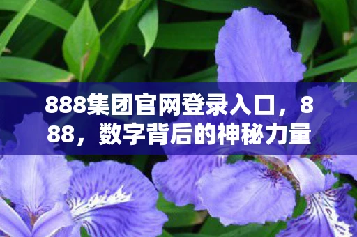888集团官网登录入口，888，数字背后的神秘力量