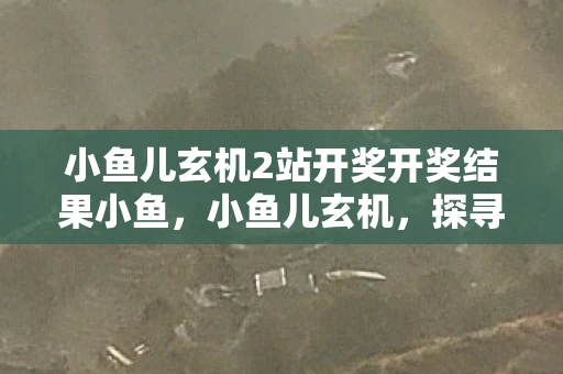 小鱼儿玄机2站开奖开奖结果小鱼，小鱼儿玄机，探寻生活中的微妙智慧