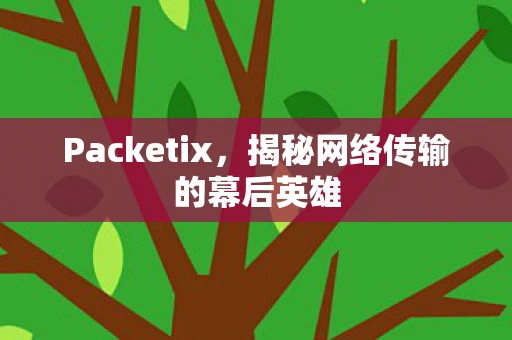 Packetix，揭秘网络传输的幕后英雄