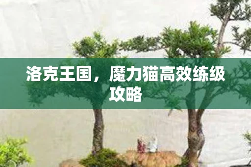 魔力猫高效练级攻略图片