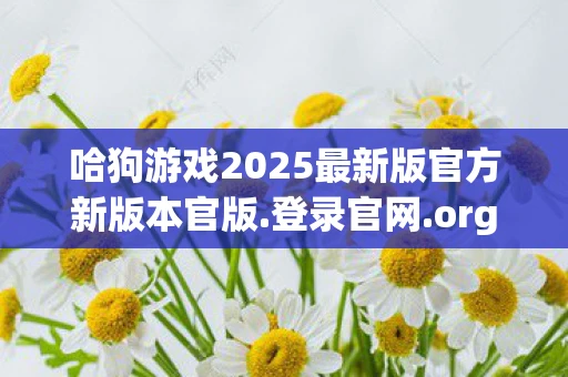 哈狗游戏2025最新版官方新版本官版.登录官网.org，哈狗游戏，重塑经典，引领潮流的在线娱乐新体验