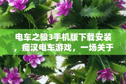 电车之狼3手机版下载安装，痴汉电车游戏，一场关于道德与法律的灰色地带探讨