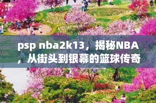 psp nba2k13，揭秘NBA，从街头到银幕的篮球传奇