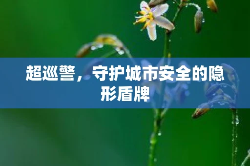 超巡警，守护城市安全的隐形盾牌