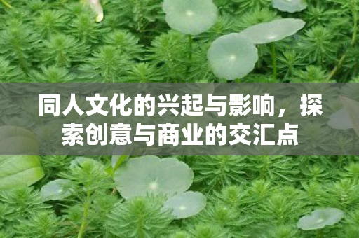 同人文化的兴起与影响，探索创意与商业的交汇点