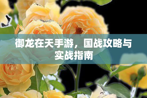 国战攻略与实战指南图片