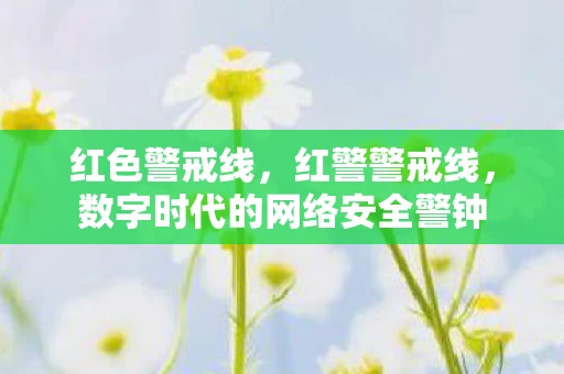 红色警戒线，红警警戒线，数字时代的网络安全警钟