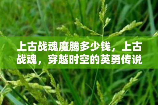 上古战魂魔腾多少钱，上古战魂，穿越时空的英勇传说