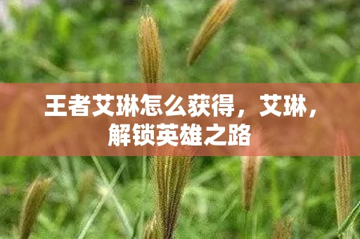 王者艾琳怎么获得，艾琳，解锁英雄之路