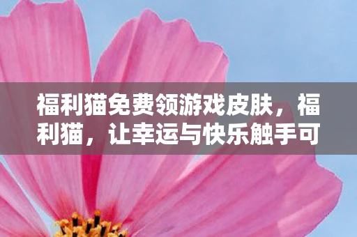 福利猫免费领游戏皮肤，福利猫，让幸运与快乐触手可及