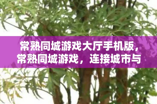 常熟同城游戏大厅手机版，常熟同城游戏，连接城市与生活的数字桥梁